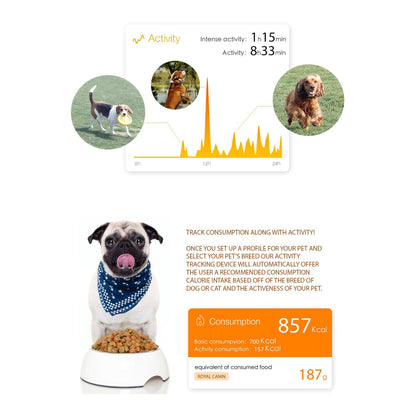 Smart Activity Monitoring Pet Tracker