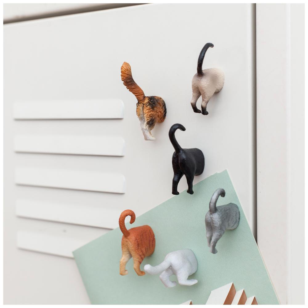 Cat Butt Magnets Set