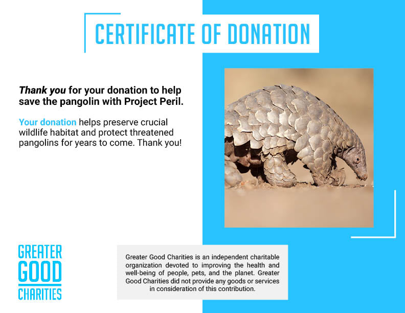 Project Peril: Protect the Pangolin from Extinction