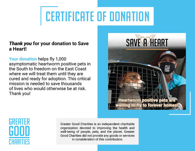 Help Fly Heartworm Positive Dogs at Risk of Euthanasia to Freedom